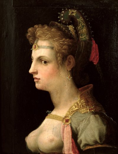 Venus Victrix von Michele di Ridolfo Tosini